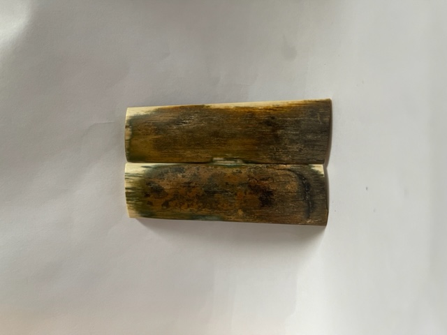  MAMMOTH IVORY SCALES         3-1/16 X 7/8 X 5/32