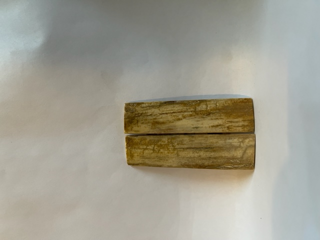  MAMMOTH IVORY SCALES             3 X 3/4 X 1/8