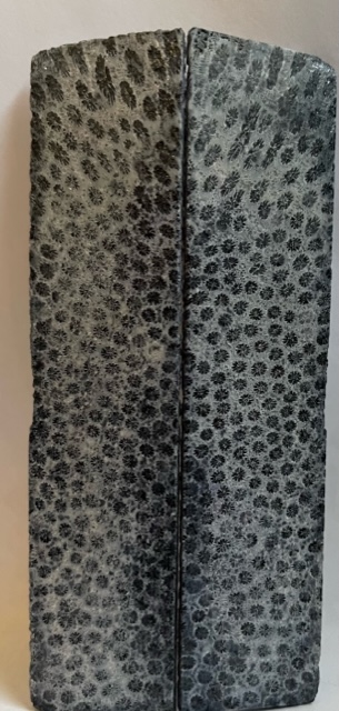 FOSSIL CORAL SCALES               4-3/4 X 1 X 1/16