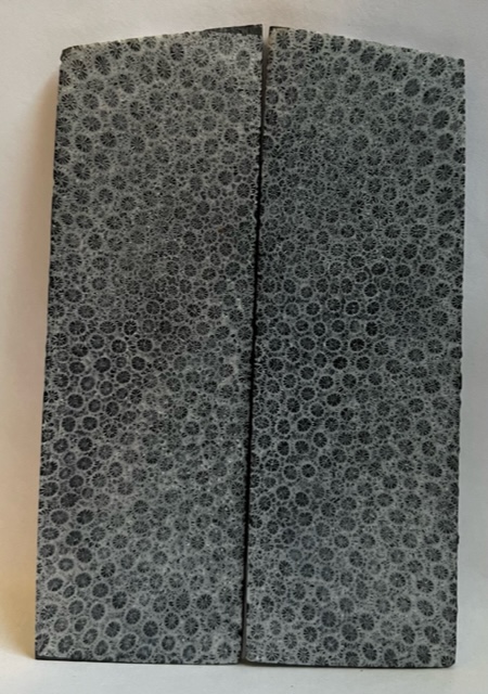 FOSSIL CORAL SCALES               3-3/4 X 1-1/4 X 1/8