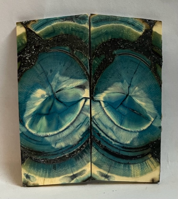 END GRAIN CUT MAMMOTH IVORY           2-13/16 X 1-3/16 X 1/16