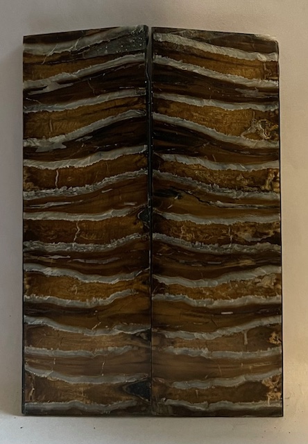 MAMMOTH TOOTH                   3-7/8 X 1-1/4 X 1/8