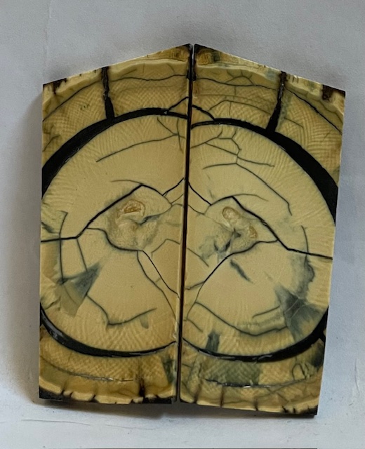 END GRAIN CUT MAMMOTH IVORY         2-1/4 tapers X 15/16 X 1/16