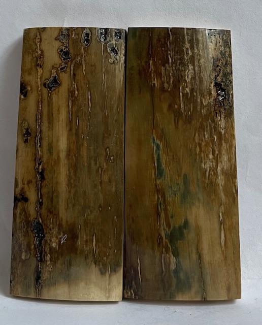  MAMMOTH IVORY SCALES         2-3/4 X 1-1/8 X 3/16
