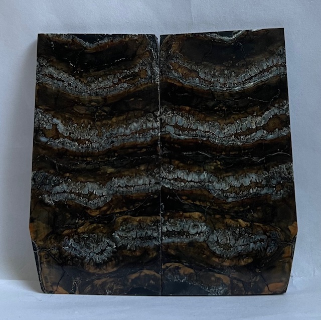 MAMMOTH TOOTH                 3-3/16 X 1-9/16 X 1/16