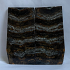 MAMMOTH TOOTH                 3-3/16 X 1-9/16 X 1/16