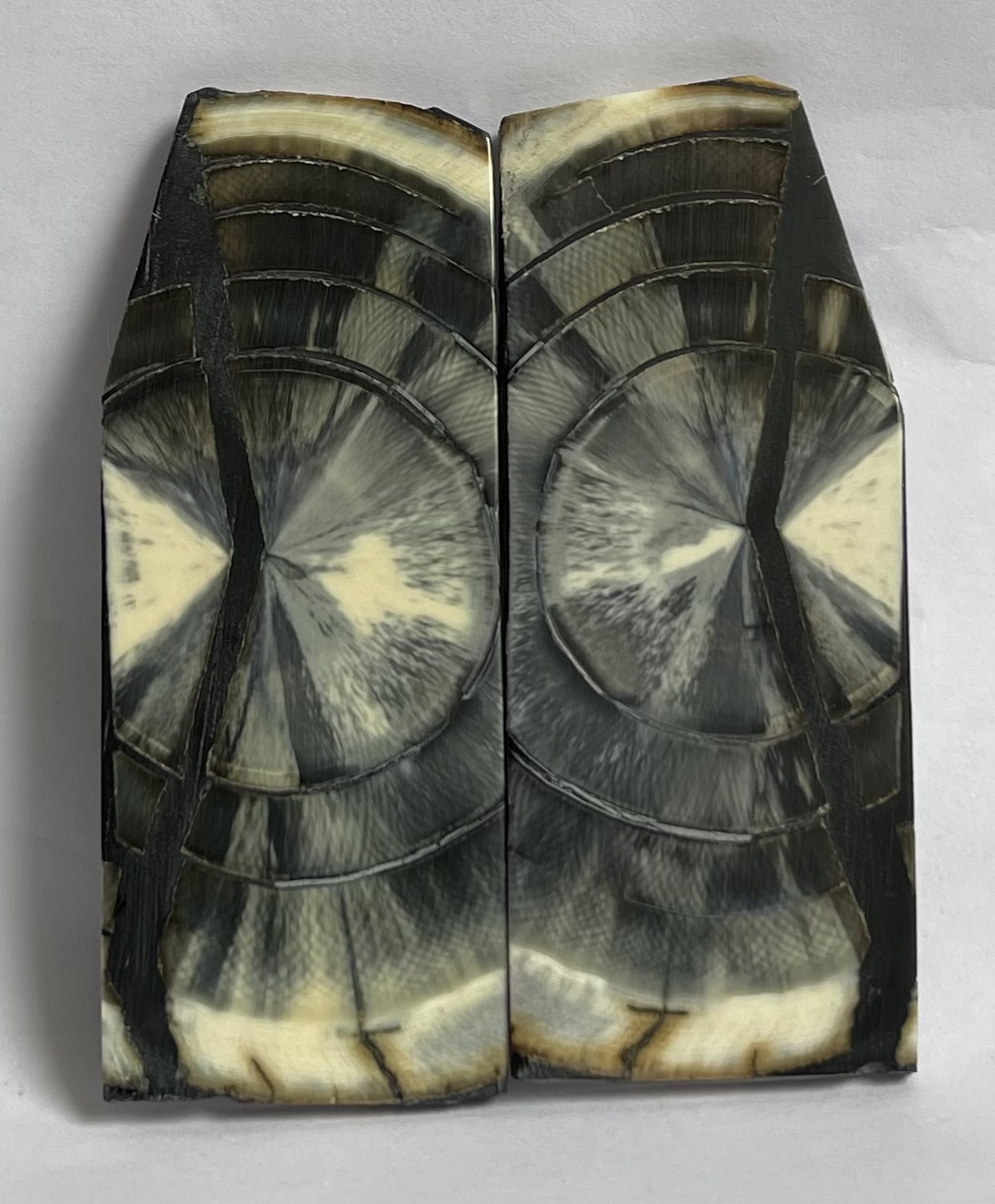 END GRAIN CUT MAMMOTH IVORY                  2-11/16 X 15/16 to 1 X 1/16