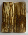  MAMMOTH IVORY SCALES             2-3/8 X 1 X 3/16