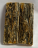  MAMMOTH IVORY SCALES             2-1/8 X 11/16 X 5/32