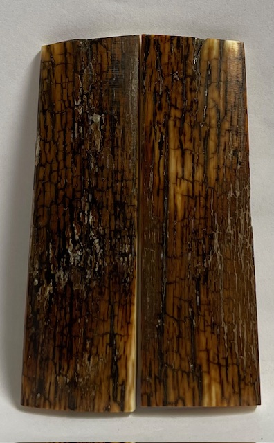  MAMMOTH IVORY SCALES           2-3/4 X 13/16 X 1/16
