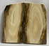  MAMMOTH IVORY SCALES             3-1/4 X 1-5/8 to 1-3/4 X 7/32