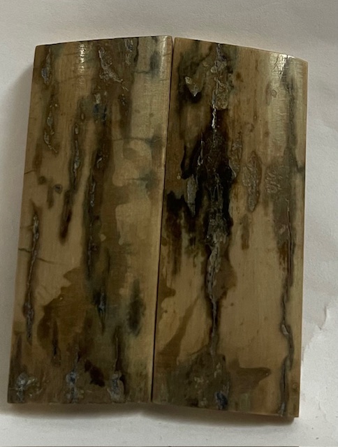  MAMMOTH IVORY SCALES            2-1/4 X 7/8 X 1/8