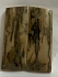  MAMMOTH IVORY SCALES            2-1/4 X 7/8 X 1/8