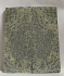 FOSSIL CORAL SCALES           4-7/16 X 1-3/4 X 3/16
