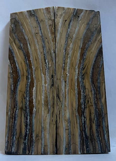 MAMMOTH TOOTH               4-1/8 X 1-5/16 X 3/16 