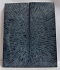 FOSSIL CORAL SCALES              5 X 1-15/16 X 1/4