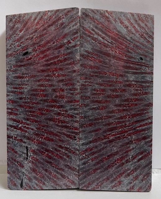 FOSSIL CORAL SCALES            4-3/16 X 1-11/16 X 1/4