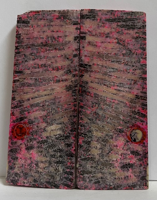 FOSSIL CORAL SCALES           3-7/8 X 1-7/16 X 3/16