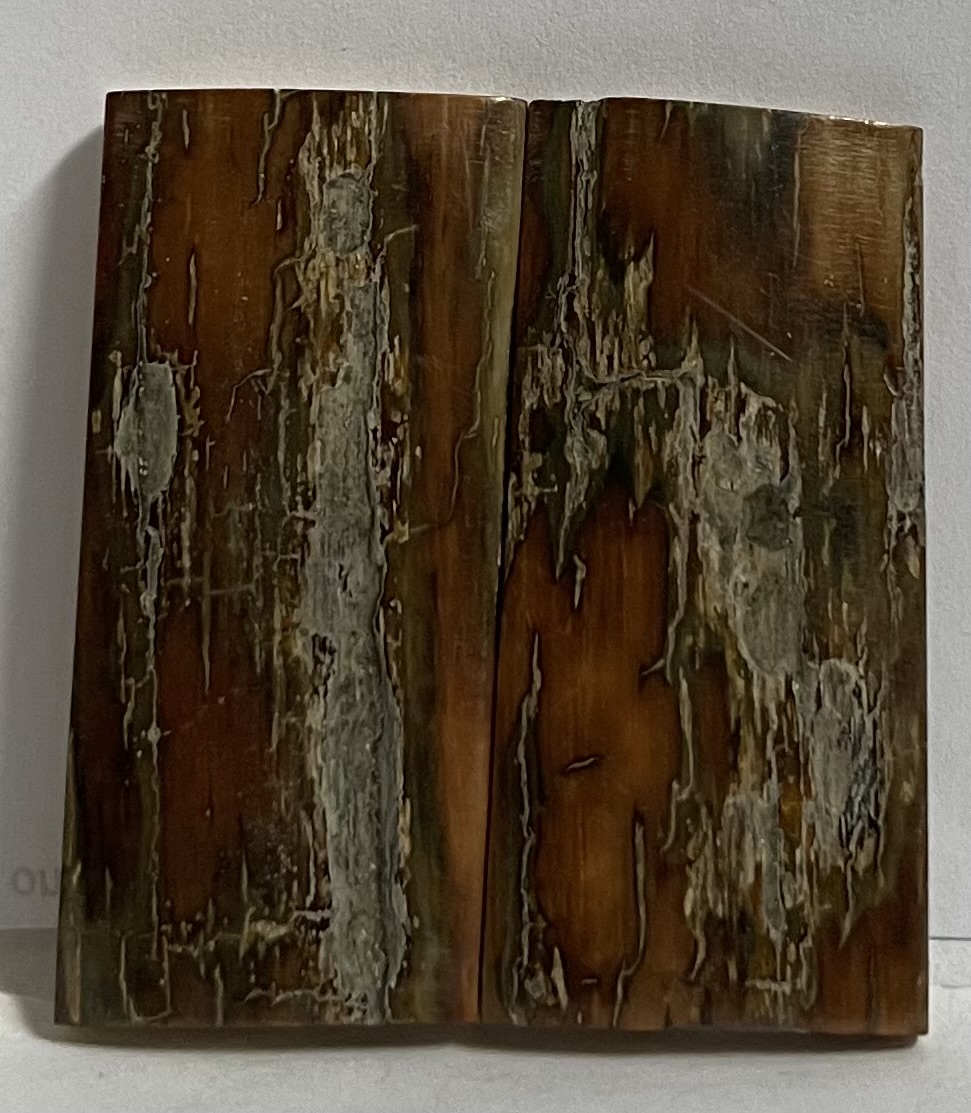  MAMMOTH IVORY SCALES           2 X 7/8 X 1/8