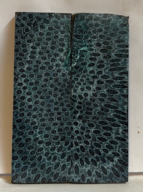 FOSSIL CORAL SCALES              3-13/16 X 1-5/16 X 1/8