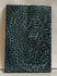 FOSSIL CORAL SCALES              3-13/16 X 1-5/16 X 1/8