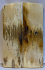  MAMMOTH IVORY SCALES           4-5/8 X 1-7/16 X 1/4