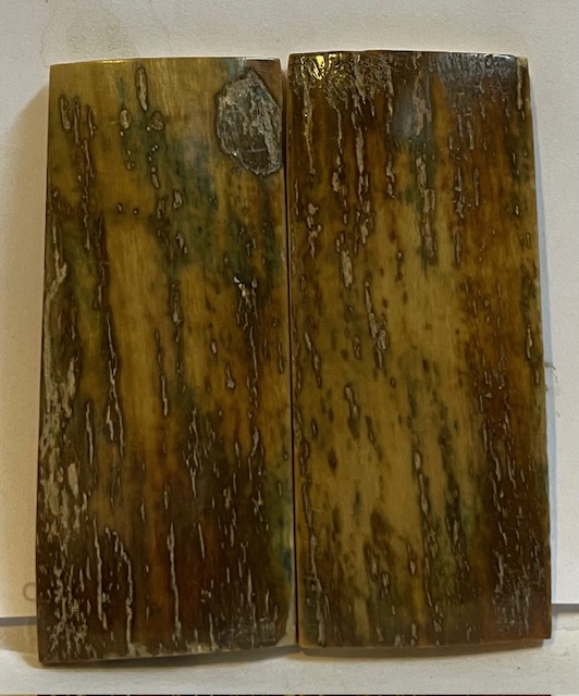  MAMMOTH IVORY SCALES             2-1/2 X 1-1/16 X 1/8