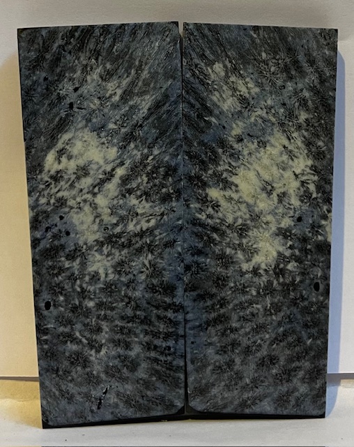 FOSSIL CORAL SCALES               3-5/8 X 1-5/16 X 1/4