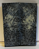 FOSSIL CORAL SCALES               3-5/8 X 1-5/16 X 1/4