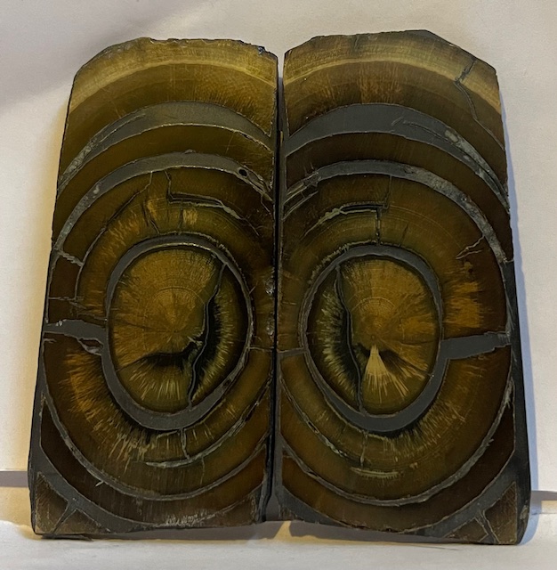 END GRAIN CUT MAMMOTH IVORY                 3-5/16 X 1-1/2 X 1/16