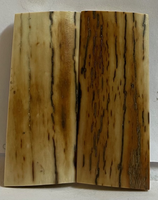  MAMMOTH IVORY SCALES            2-1/2 X 1 X 3/16