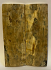  MAMMOTH IVORY SCALES             4-1/16 X 1-7/16 X 5/32
