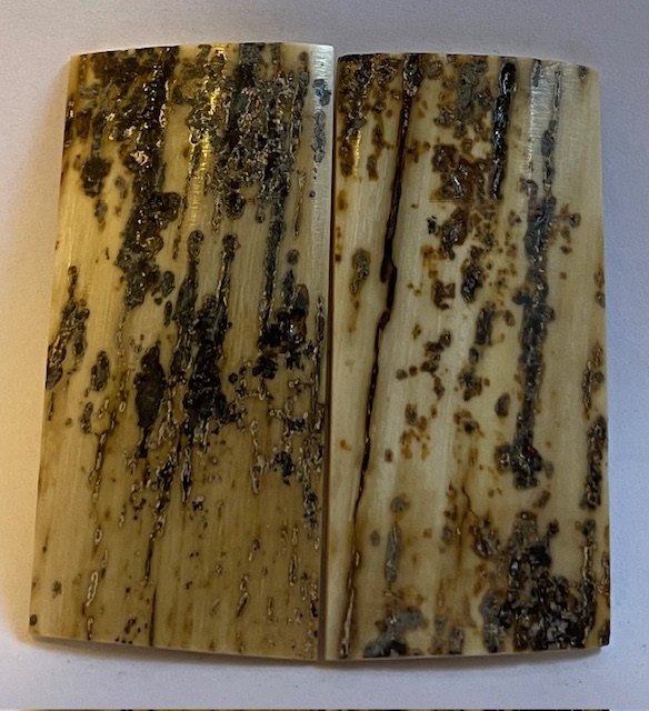  MAMMOTH IVORY SCALES            2-5/16 X 1-1/16 X 1/16