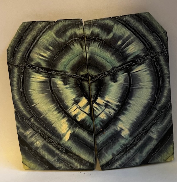END GRAIN CUT MAMMOTH IVORY             3-1/4 X 1-7/16 to 1-5/8 X 1/16