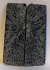 FOSSIL CORAL SCALES             3-1/2 X 1-1/8 X 1/8