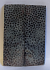 FOSSIL CORAL SCALES             3-7/16 X 1-1/8 X 1/8