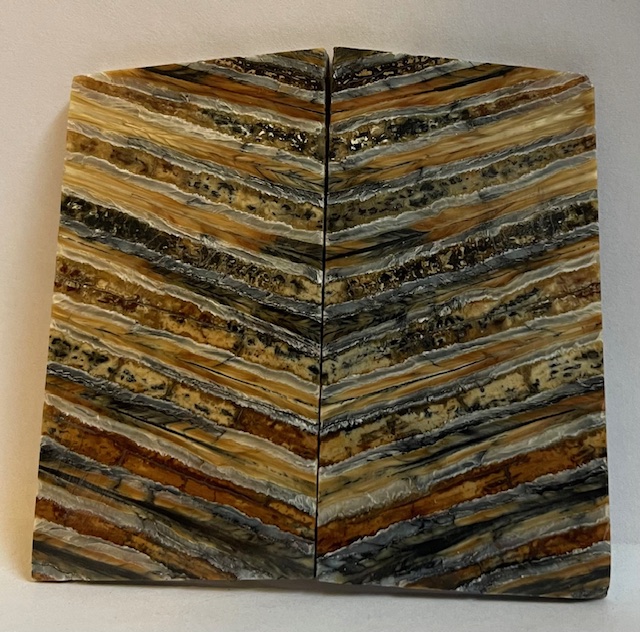 MAMMOTH TOOTH             3-1/16 X 1-5/8 X 1/8