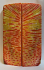 FOSSIL CORAL SCALES              5-1/16 X 1-9/16 X 7/32