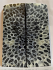 FOSSIL CORAL SCALES              5-3/16 X 1-7/8 X 1/4