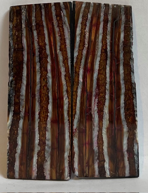 MAMMOTH TOOTH              3-1/8 X 1-1/8 X 1/8