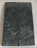 FOSSIL CORAL SCALES            3-15/16 X 1-1/4 to 1-5/16 X 5/32