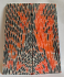 FOSSIL CORAL SCALES            4-3/4 X 1-3/4 X 7/32
