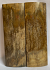  MAMMOTH IVORY SCALES             4-7/8 X 1-11/16 X 3/16
