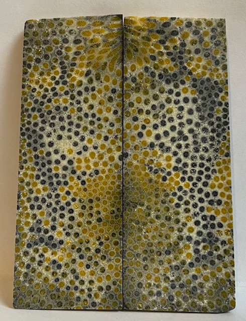 FOSSIL CORAL SCALES              4-3/16 X 1-7/16 X 3/16
