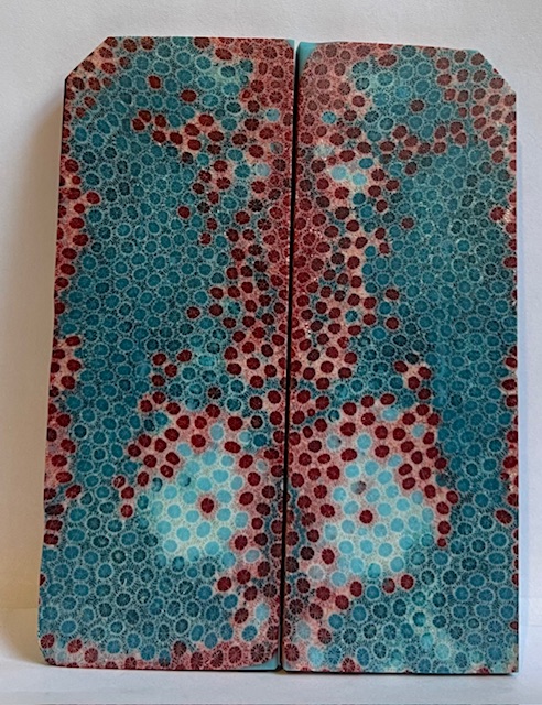 FOSSIL CORAL SCALES             4-1/4 X 1-5/16 to 1-9/16 X 7/32
