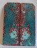 FOSSIL CORAL SCALES             4-1/4 X 1-5/16 to 1-9/16 X 7/32