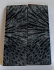 FOSSIL CORAL SCALES             3-1/4 X 1-3/16 X 1/8