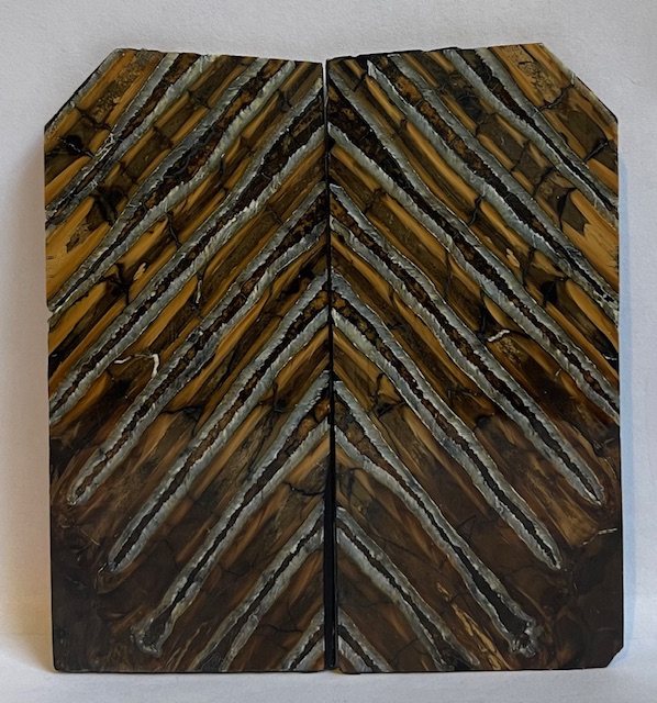 MAMMOTH TOOTH              3-5/16 to 3-5/8 X 1-3/8 to 1-11/16 X 1/16