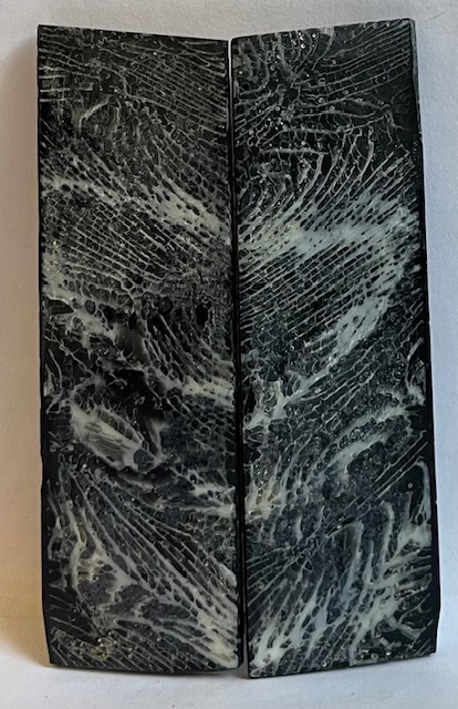 FOSSIL CORAL SCALES             3-9/16 X 1-1/16 X 1/8
