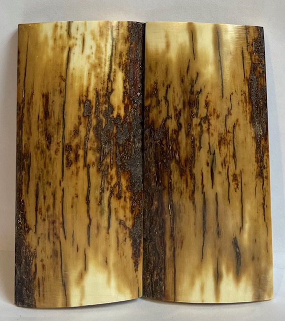  MAMMOTH IVORY SCALES          3-7/8 X 1-11/16 X 5/16